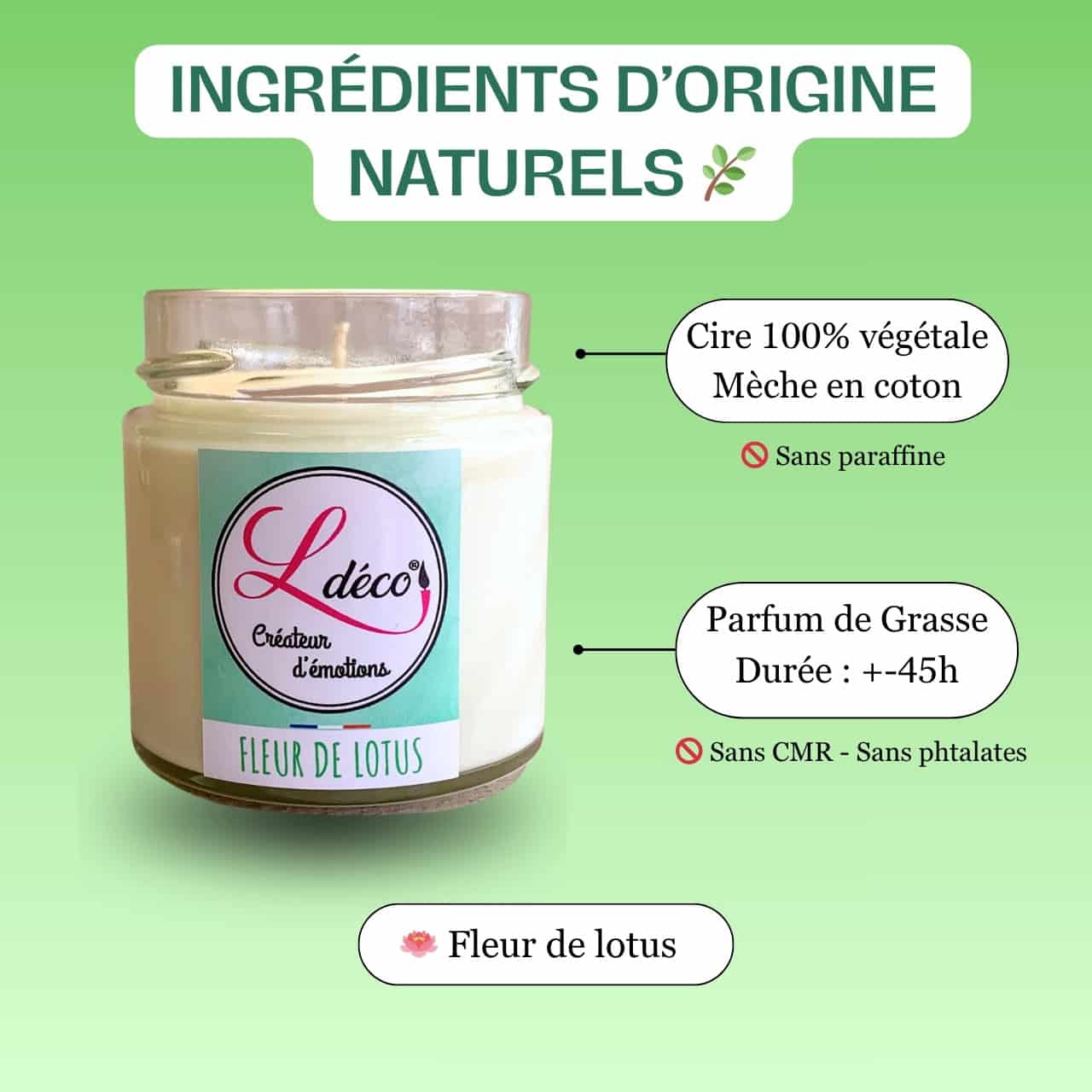 Gros plan ingrédients bougie naturelle parfumée fleur de lotus Ldéco — cire végétale 100% naturelle sans paraffine et mèche coton naturel sans plomb artisanale Made in France Fraize Vosges