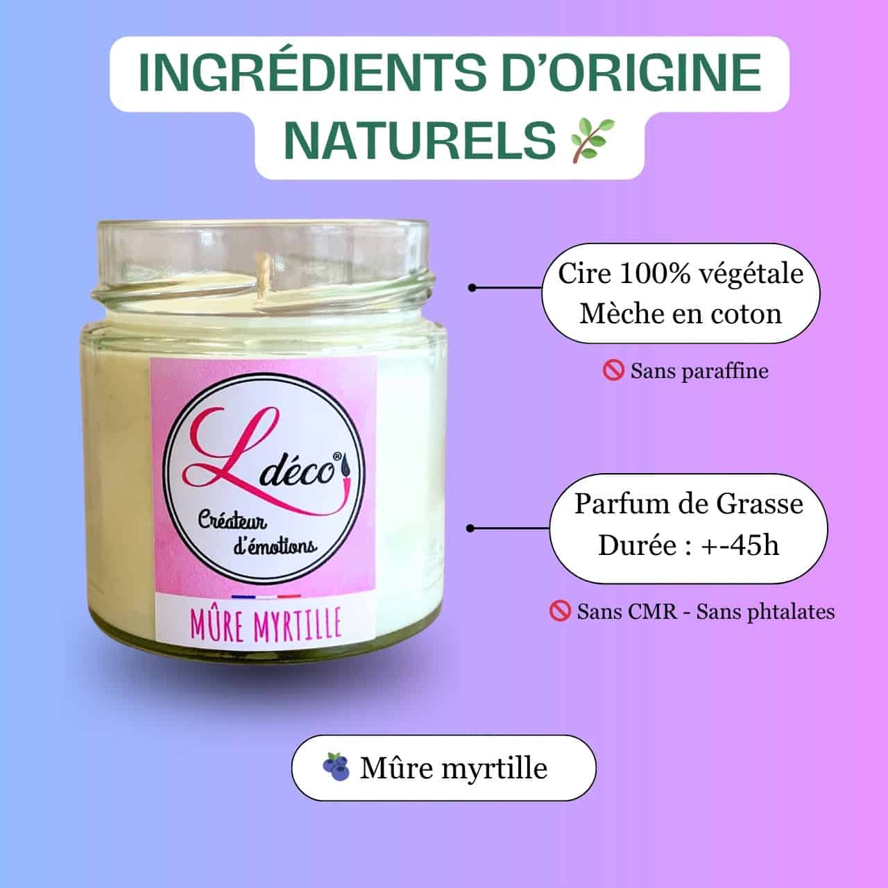 Gros plan ingrédients bougie naturelle parfumée mûre myrtille Ldéco — cire végétale 100% naturelle sans paraffine et mèche coton naturel sans plomb artisanale Made in France Fraize Vosges