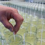 Visite de l’atelier de fabrication des bougies naturelles Ldéco à Fraize près de Gérardmer dans les Vosges